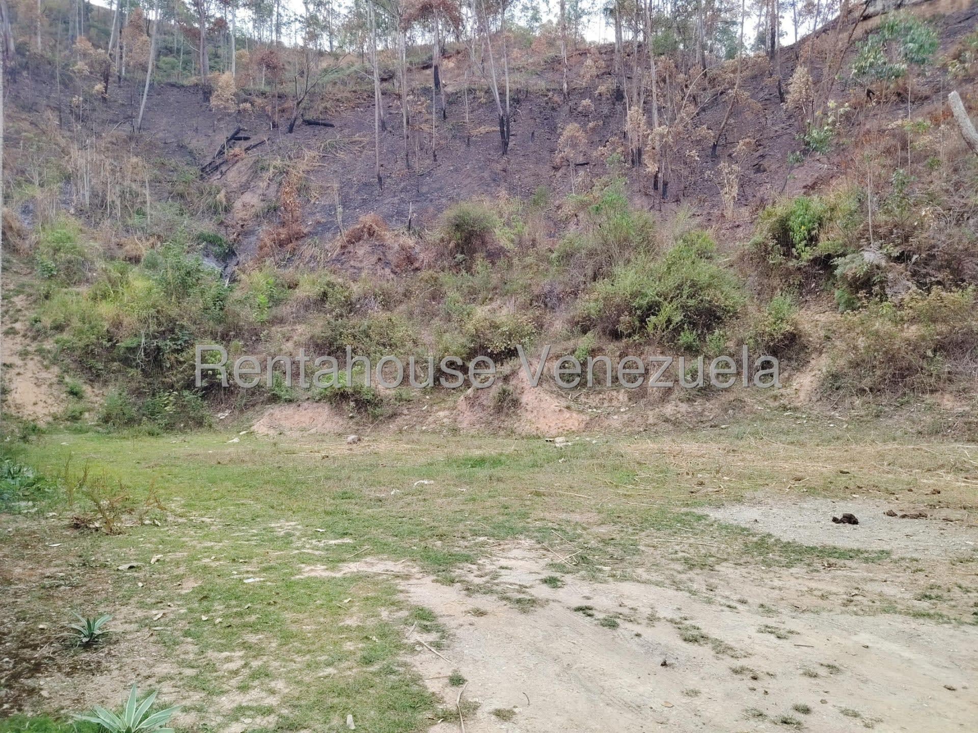 Terreno en venta en Carrizal, foto 5 de 11