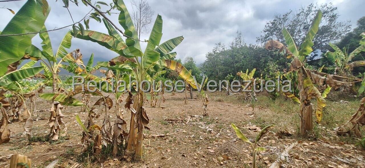 Terreno en venta en Guatire (Terrinca), foto 1 de 11