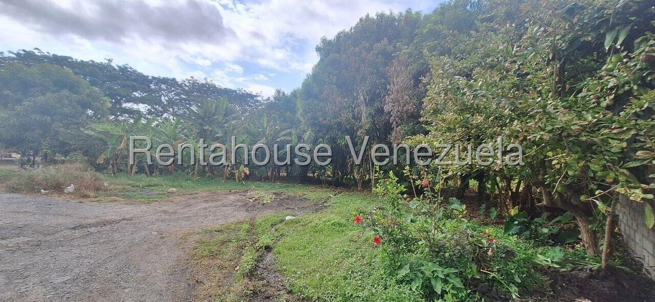 Terreno en venta en Guatire (Terrinca), foto 3 de 11