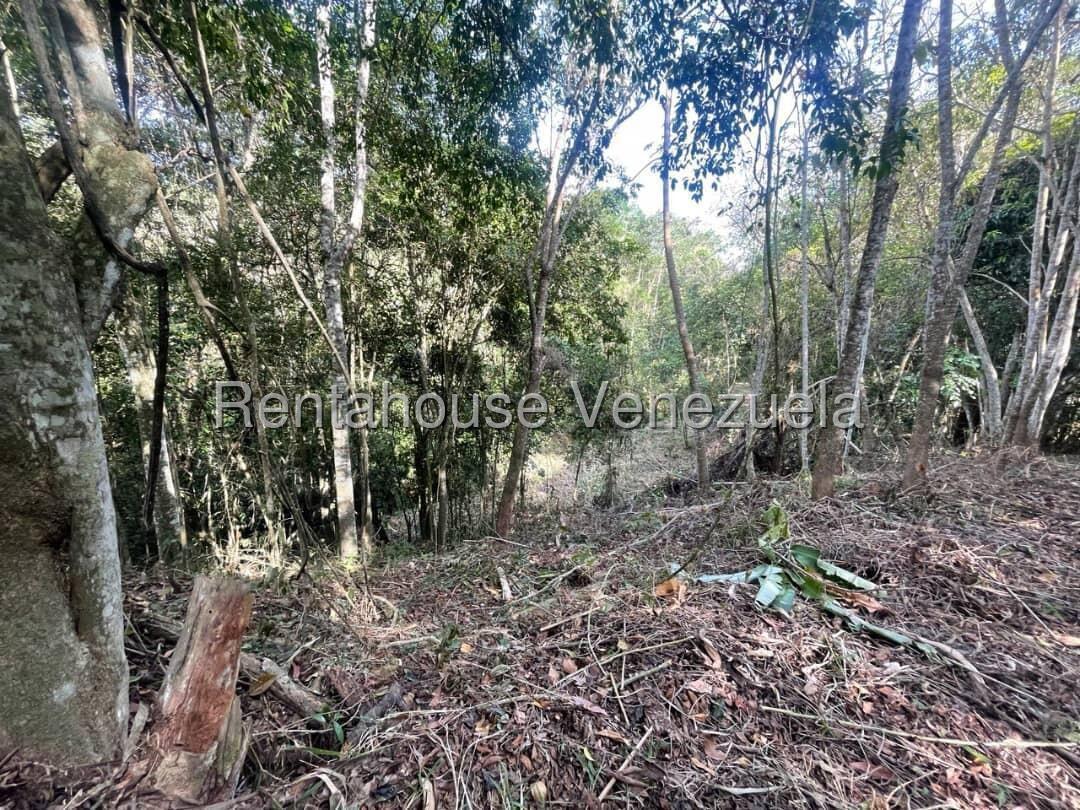 Terreno en venta en Caracas (El Hatillo), foto 3 de 8