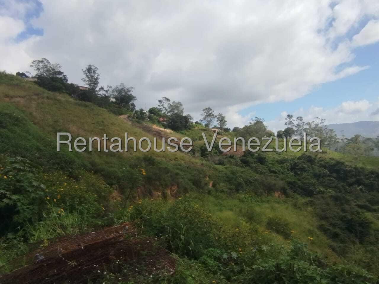 Terreno en venta en Guatire (Los Budares), foto 4 de 7