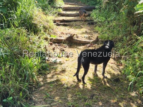 Terreno en venta en Caracas (Gavilan), foto 4 de 12