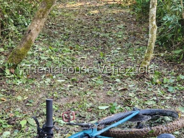 Terreno en venta en Caracas (Gavilan), foto 5 de 12