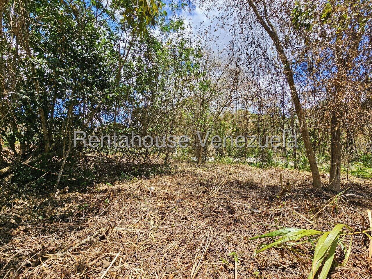 Terreno en venta en Caracas (La Lagunita Country Club), foto 3 de 12