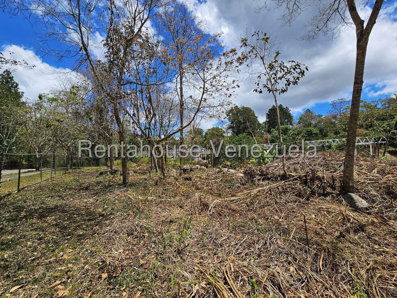 Terreno en venta en Caracas (La Lagunita Country Club), foto 4 de 12