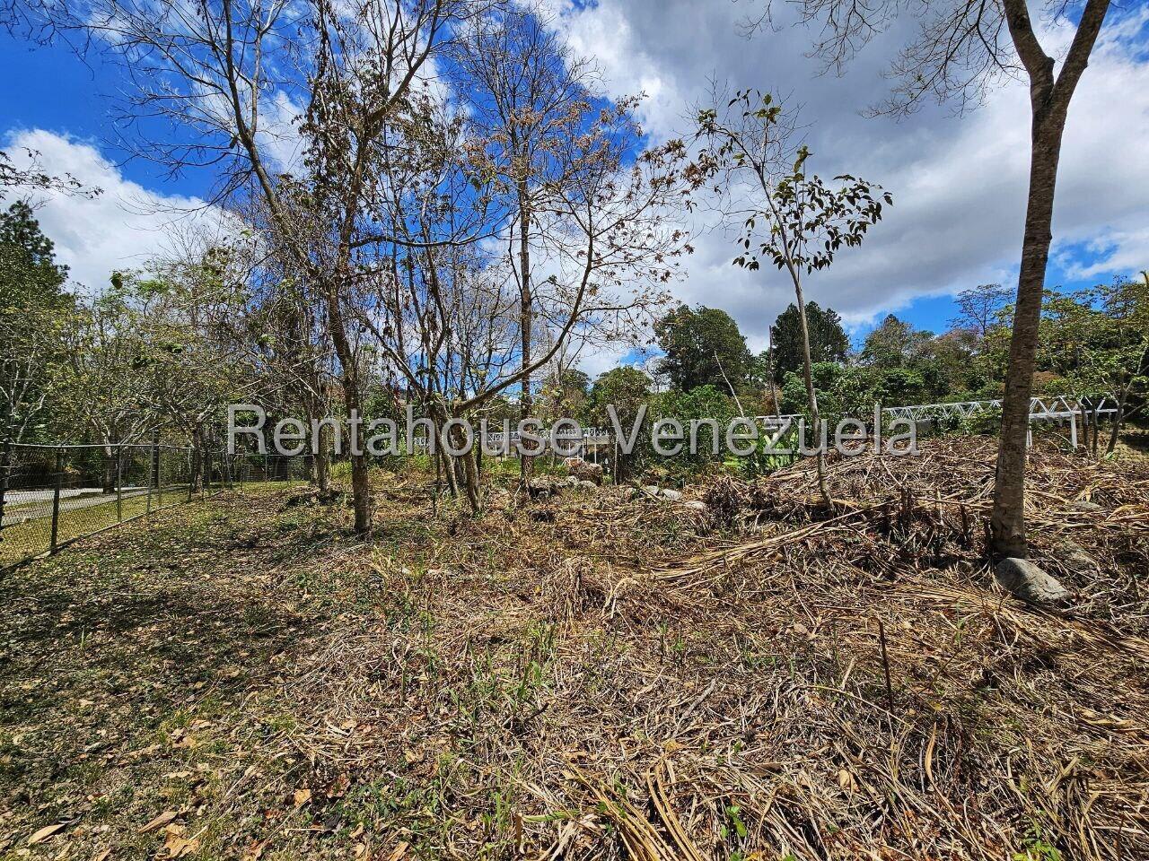 Terreno en venta en Caracas (La Lagunita Country Club), foto 4 de 12
