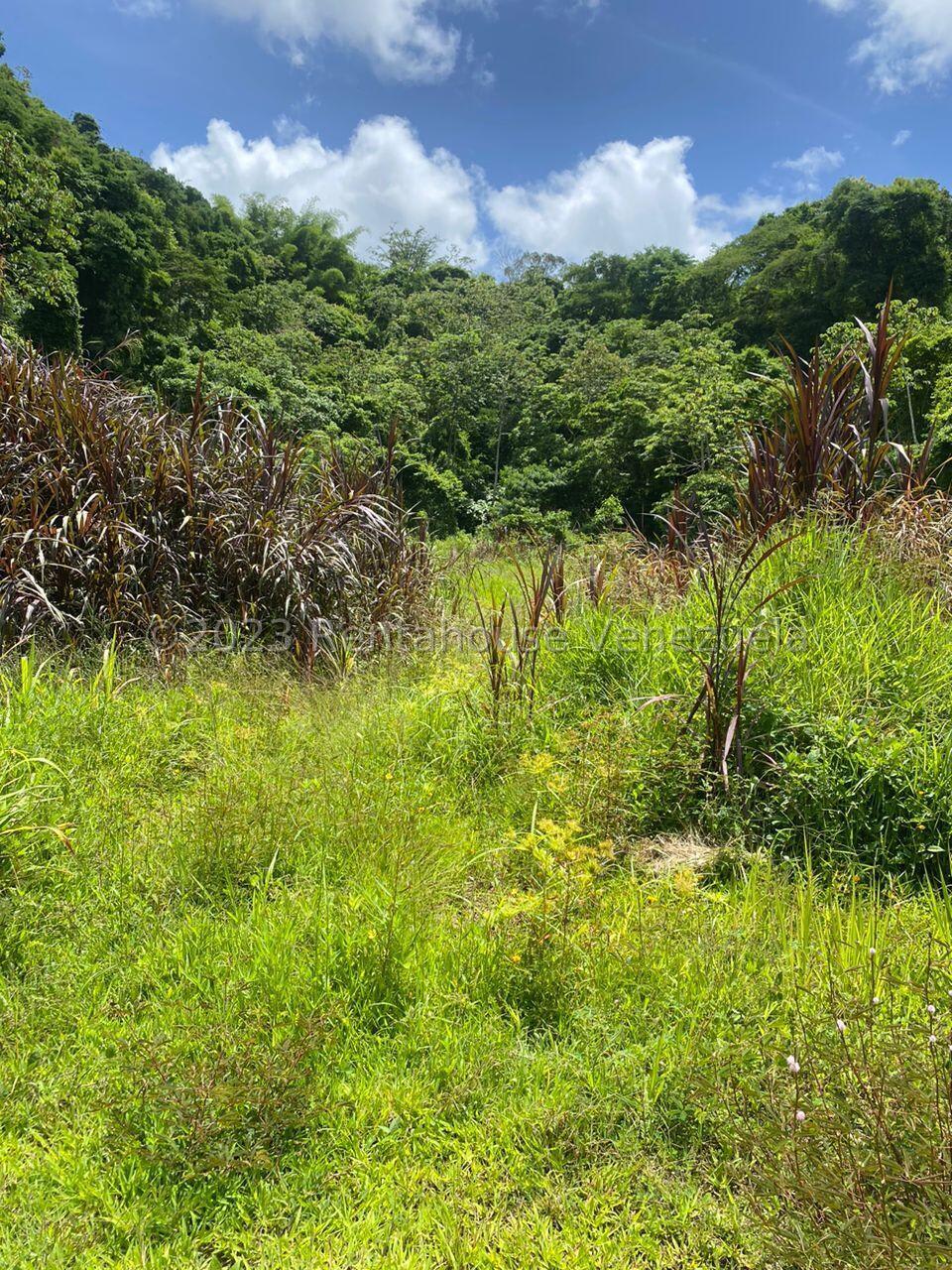 Terreno en venta en Caracas (Villa Nueva Hatillo), foto 5 de 10