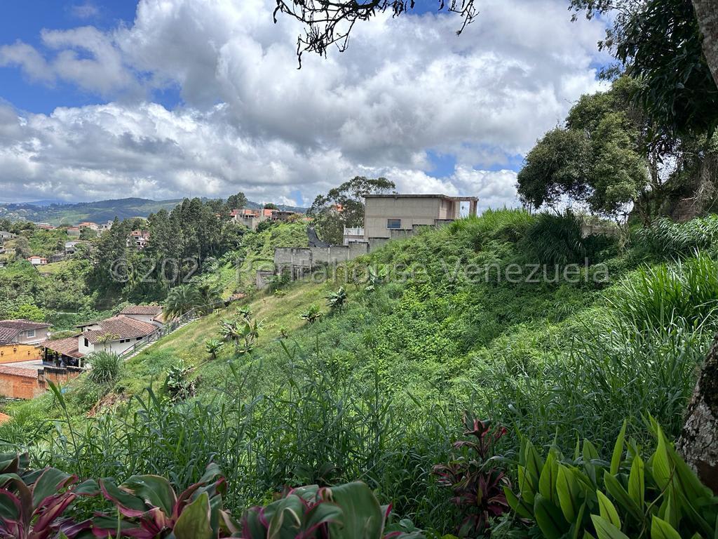 Terreno en venta en San Antonio de Los Altos (La Morita), foto 4 de 12