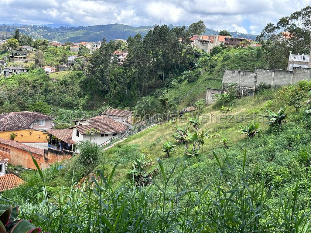 Terreno en venta en San Antonio de Los Altos (La Morita), foto 2 de 12