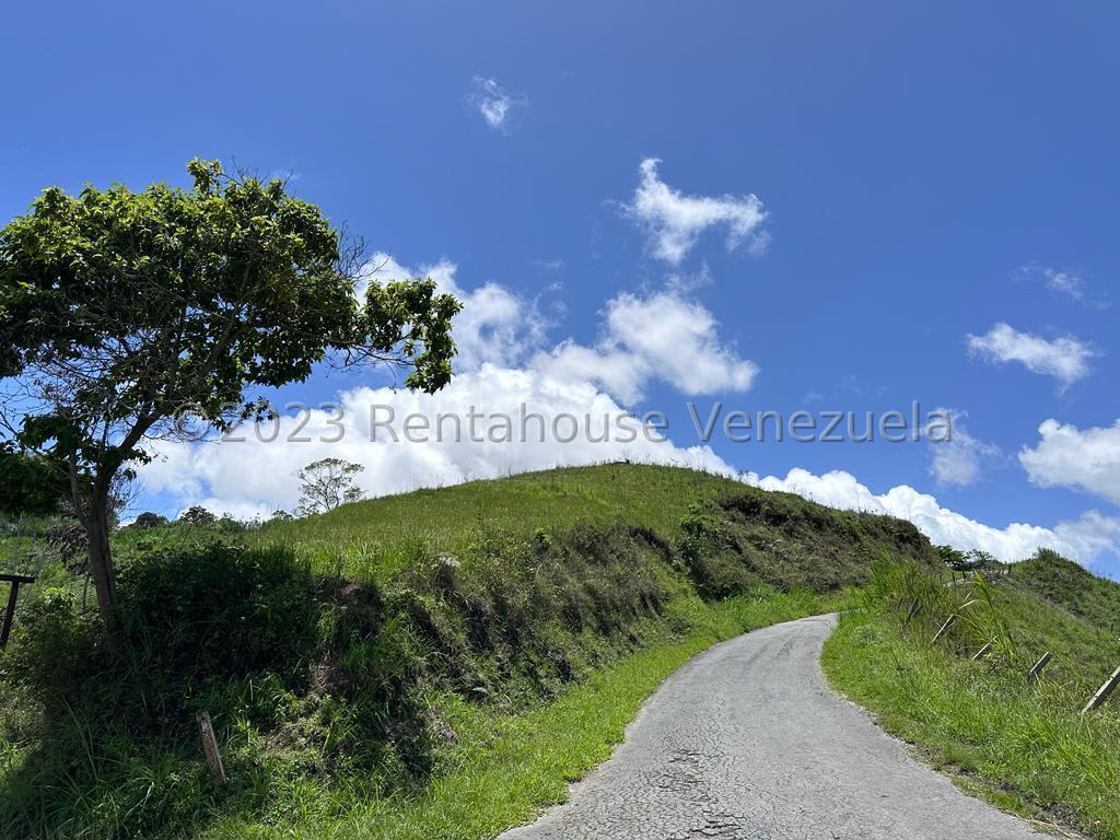 Terreno en venta en San Antonio de Los Altos (El Limon), foto 2 de 7