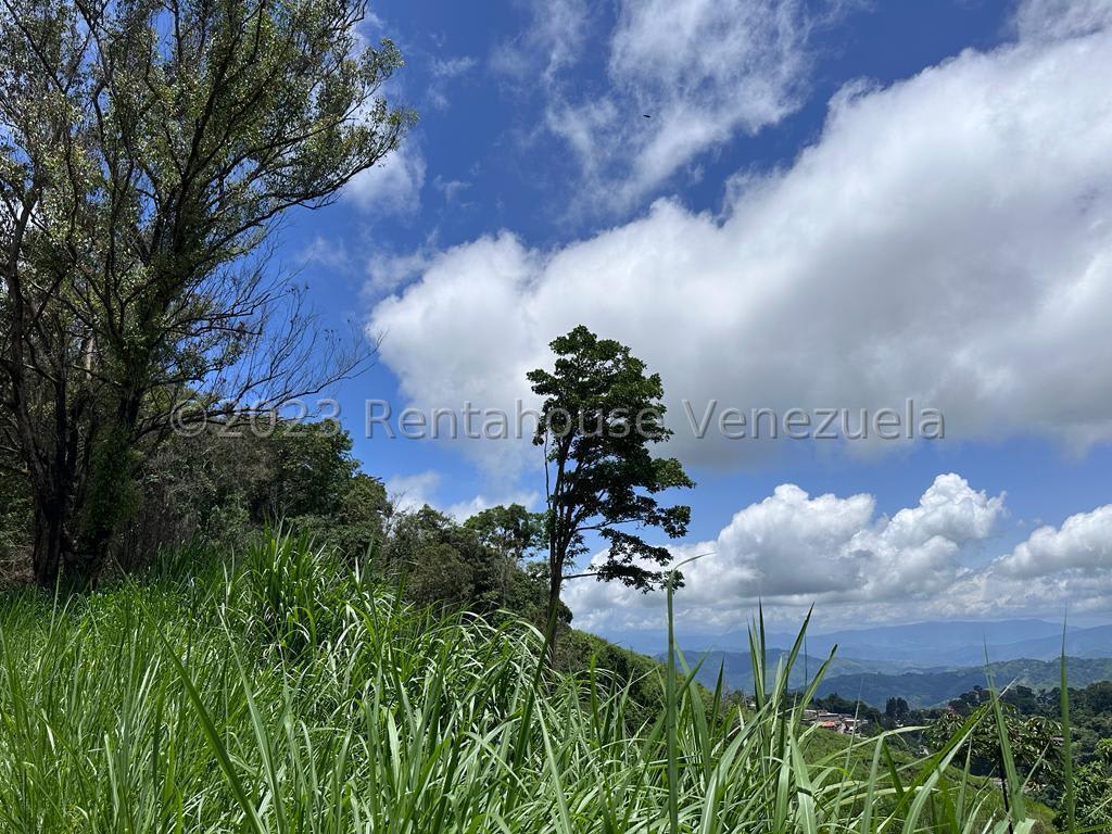 Terreno en venta en San Antonio de Los Altos (El Limon), foto 5 de 7