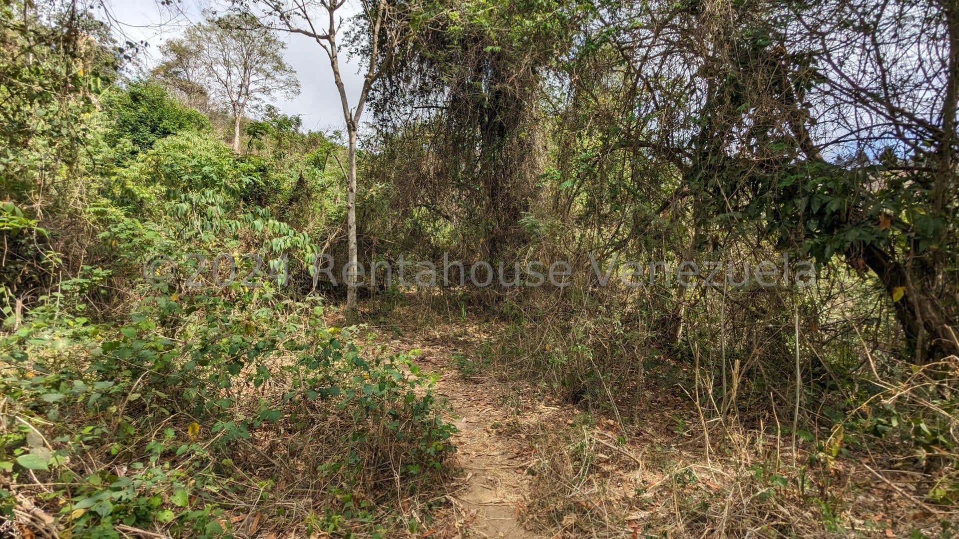 Terreno en venta en Caracas (Corralito), foto 3 de 12