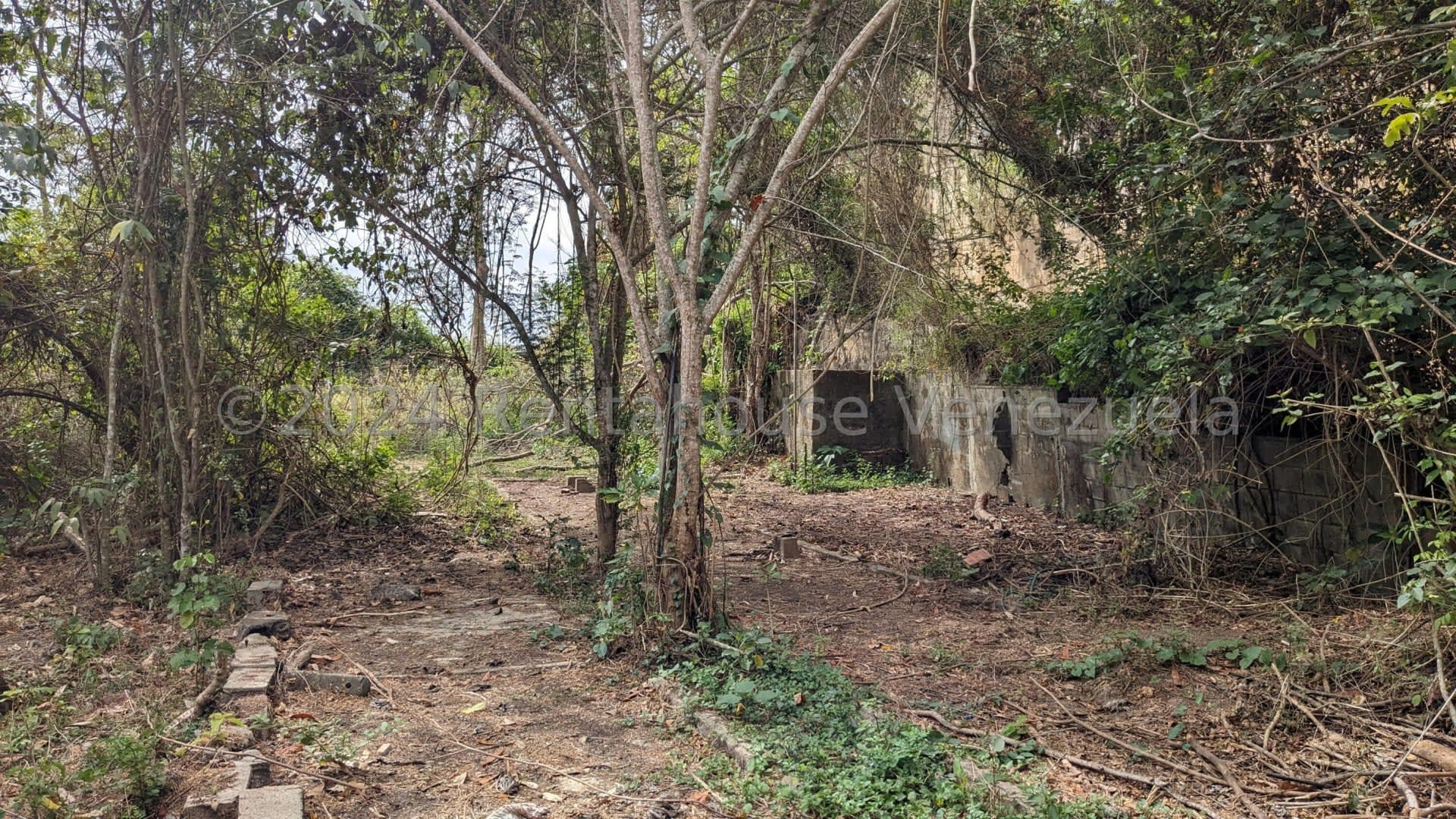 Terreno en venta en Caracas (Corralito), foto 5 de 12