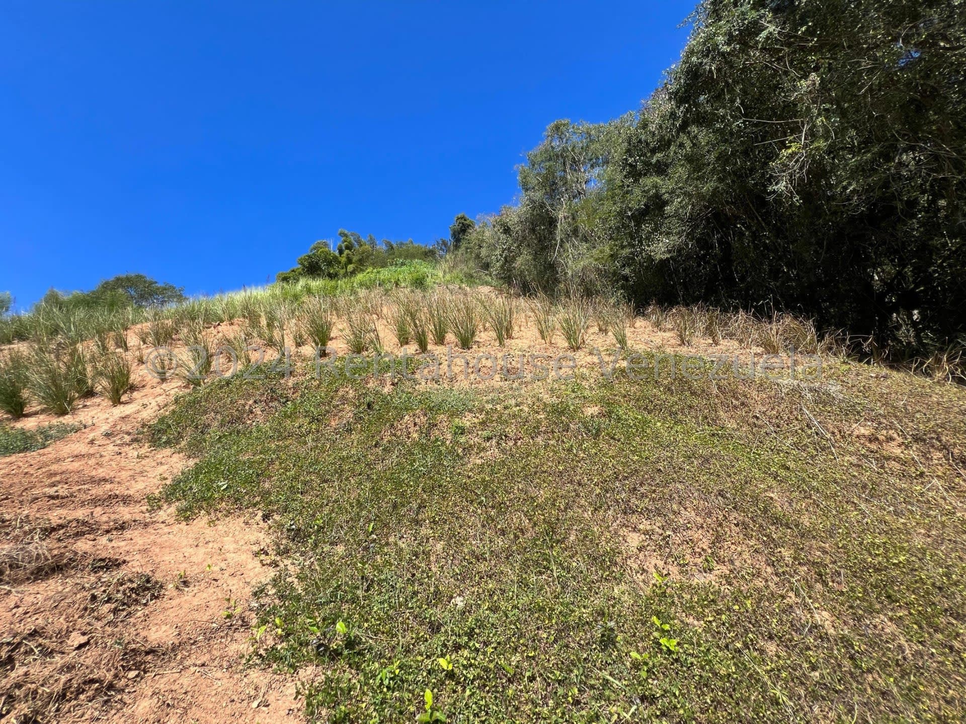 Terreno en venta en Caracas (La Union), foto 5 de 9