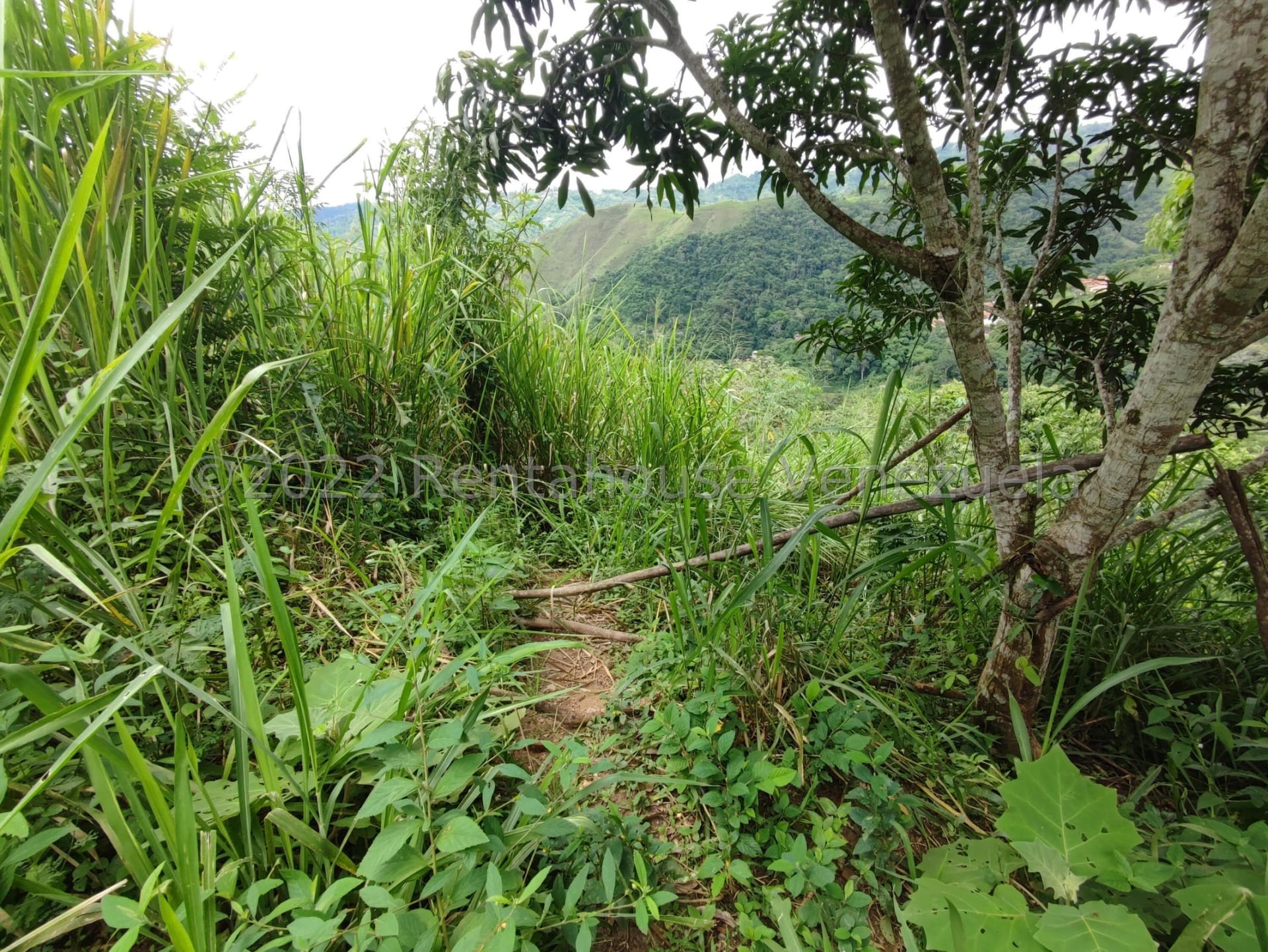 Terreno en venta en Caracas (El Hatillo), foto 4 de 10