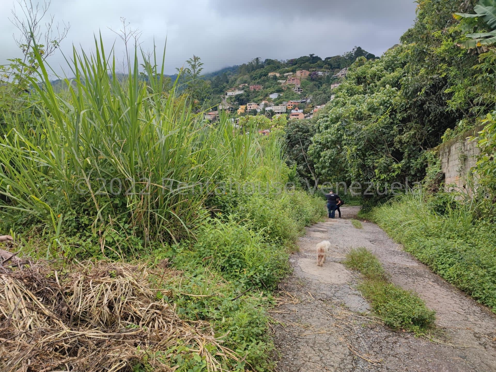 Terreno en venta en Caracas (El Hatillo), foto 3 de 10