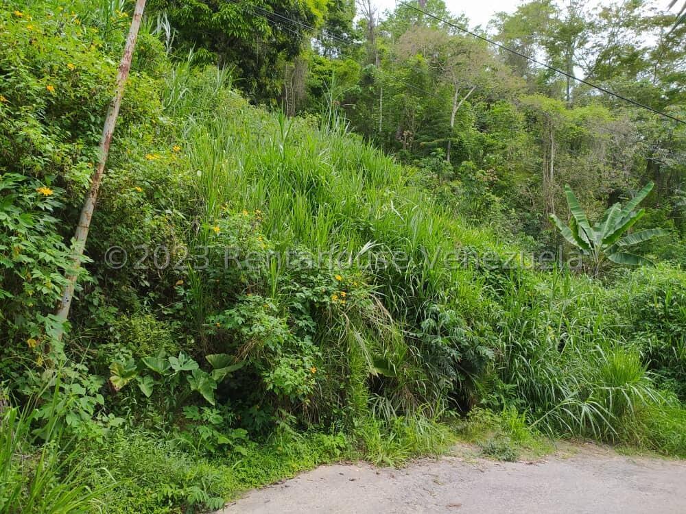 Terreno en venta en Caracas (El Hatillo), foto 4 de 4