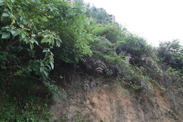 Terreno en venta en San Antonio de Los Altos (El Picacho), foto 3 de 12