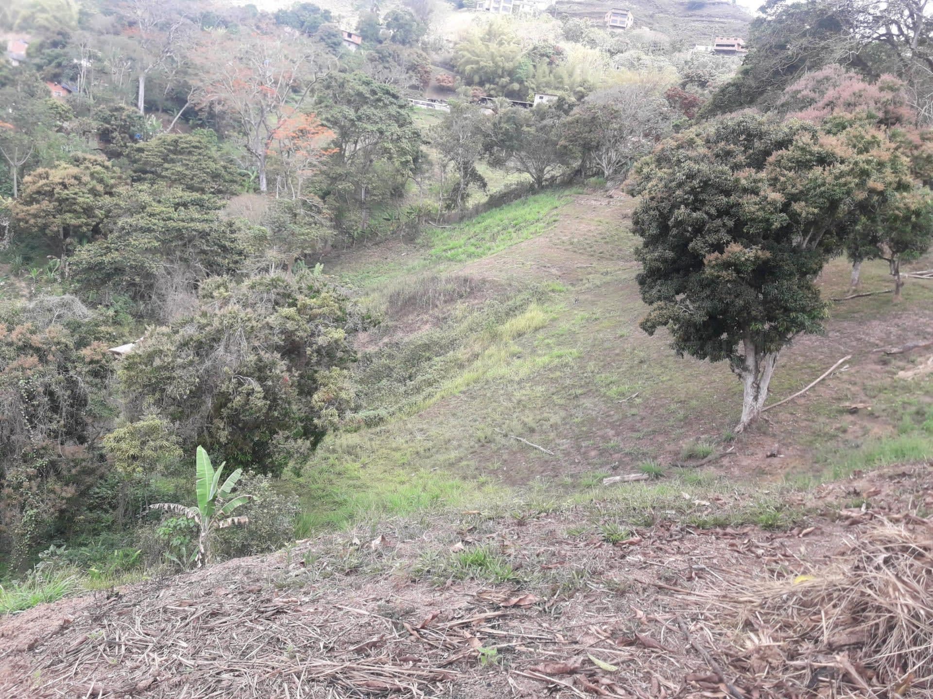 Terreno en venta en Caracas (Oripoto), foto 3 de 12