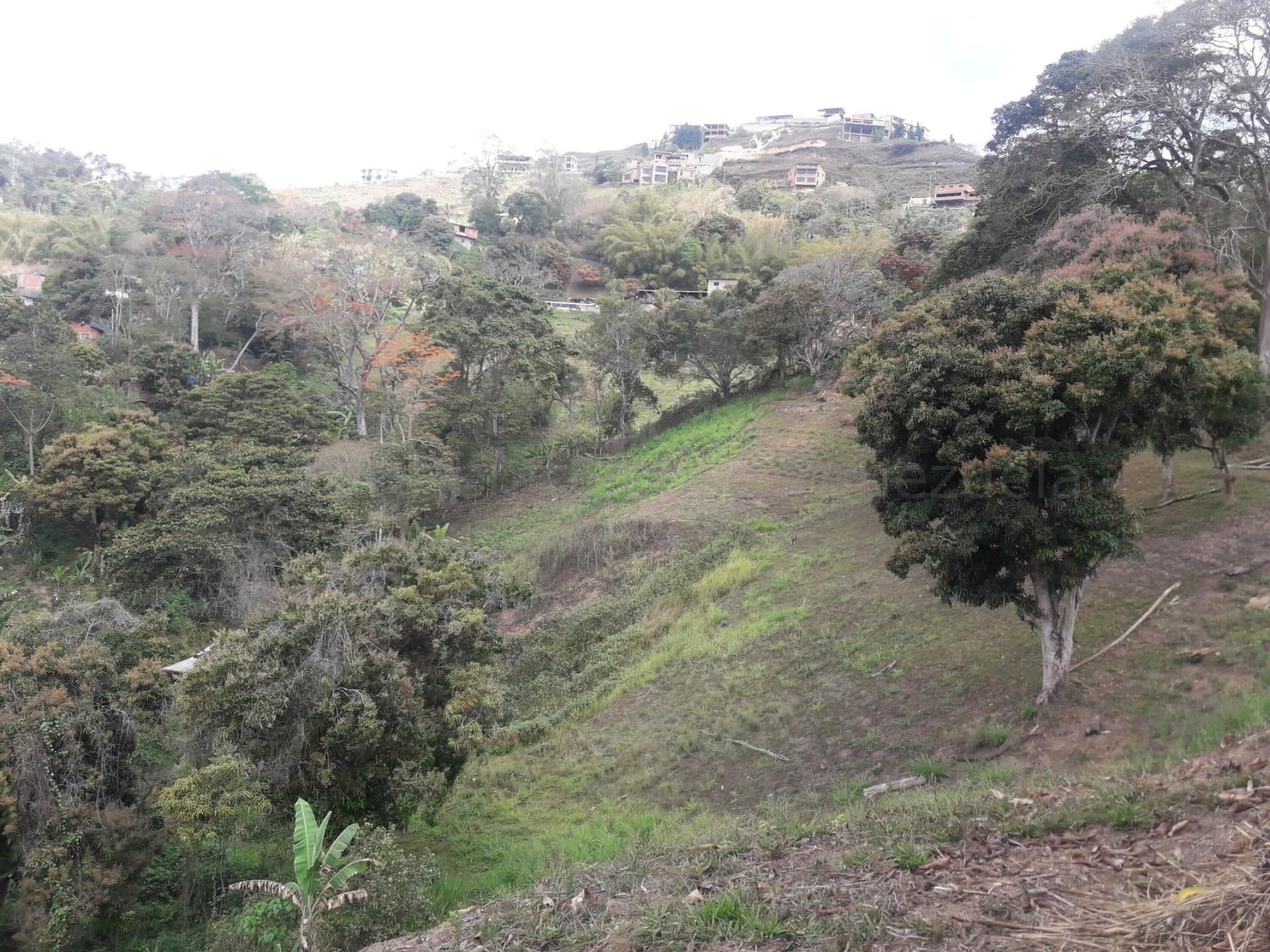 Terreno en venta en Caracas (Oripoto), foto 4 de 12