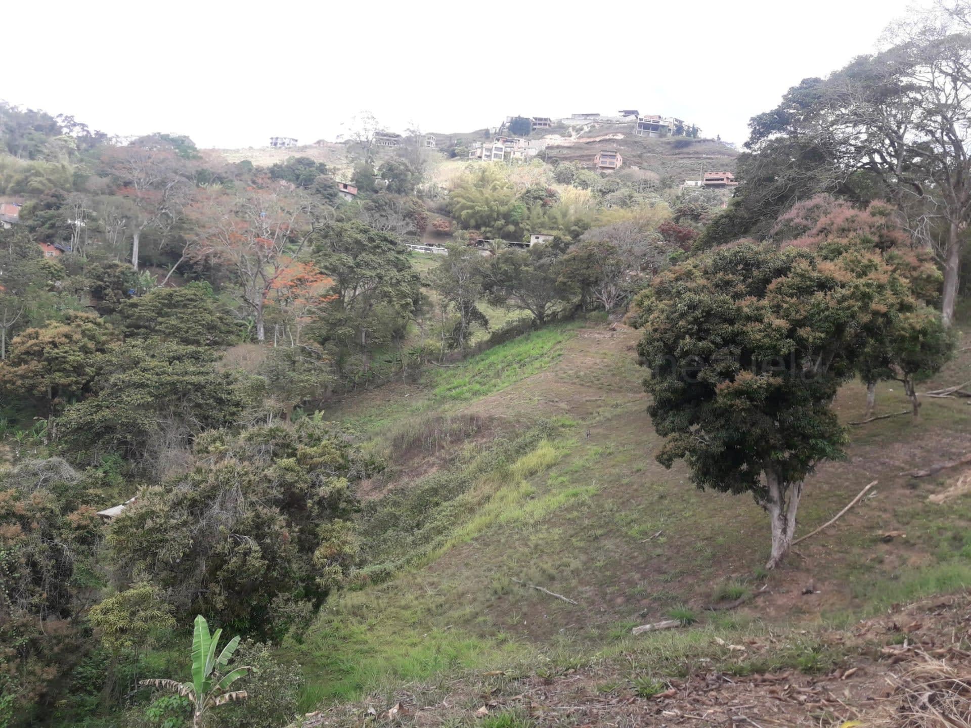 Terreno en venta en Caracas (Oripoto), foto 2 de 12