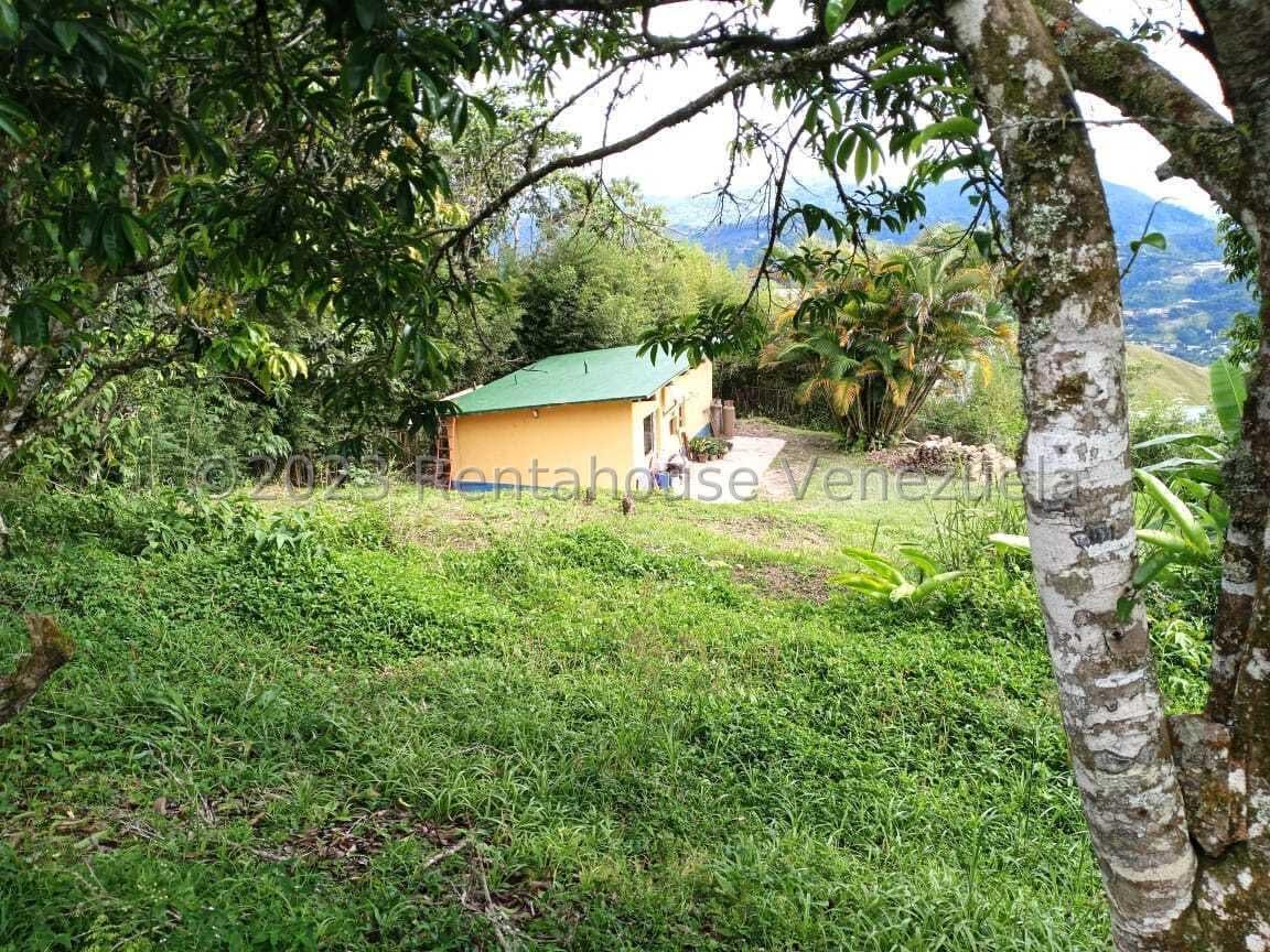 Terreno en venta en Caracas (Los Guayabitos), foto 3 de 12