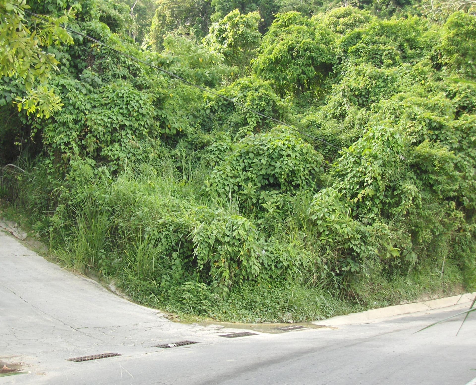 Terreno en venta en Caracas (Oripoto), foto 4 de 12