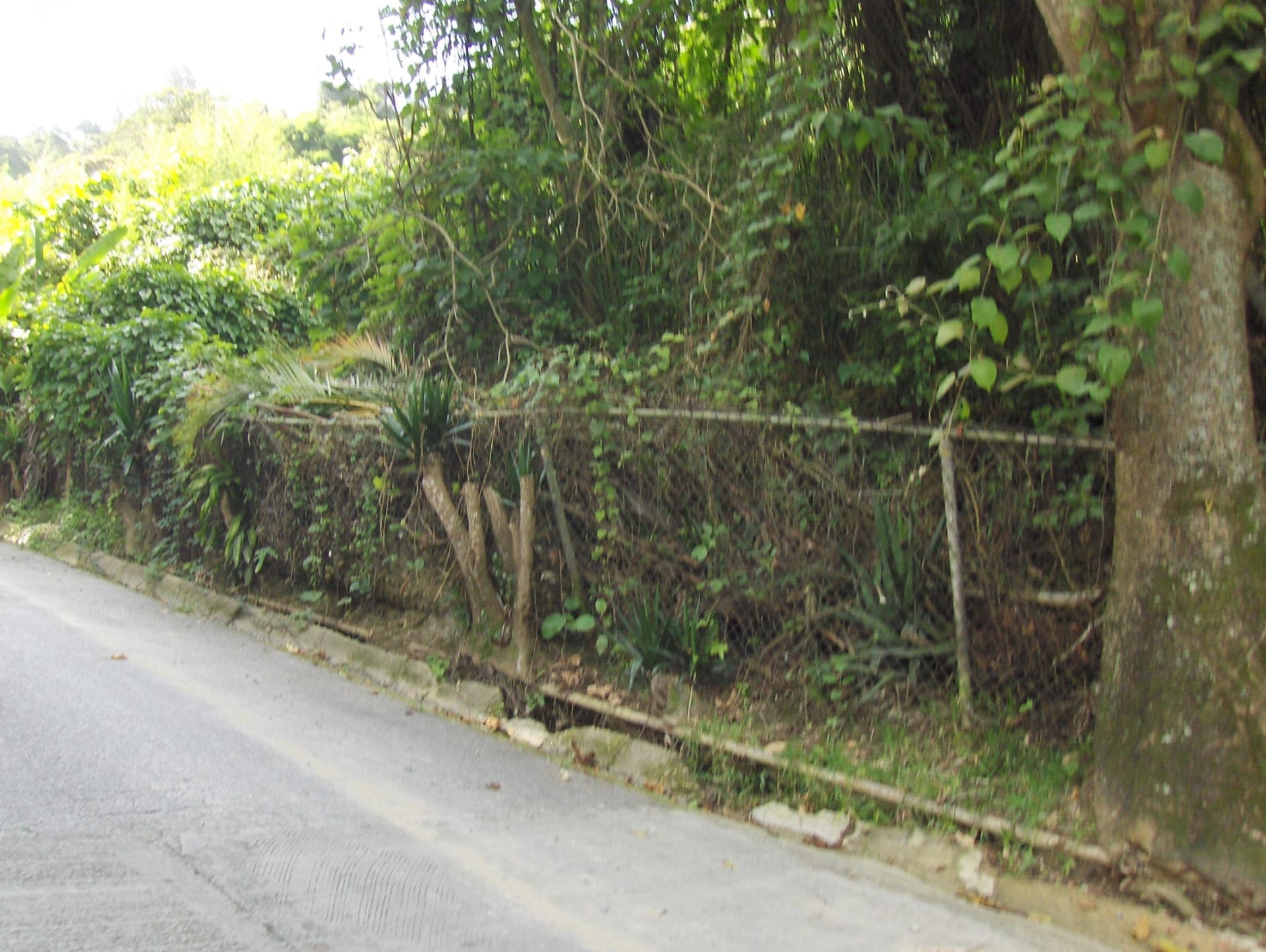 Terreno en venta en Caracas (Oripoto), foto 5 de 12