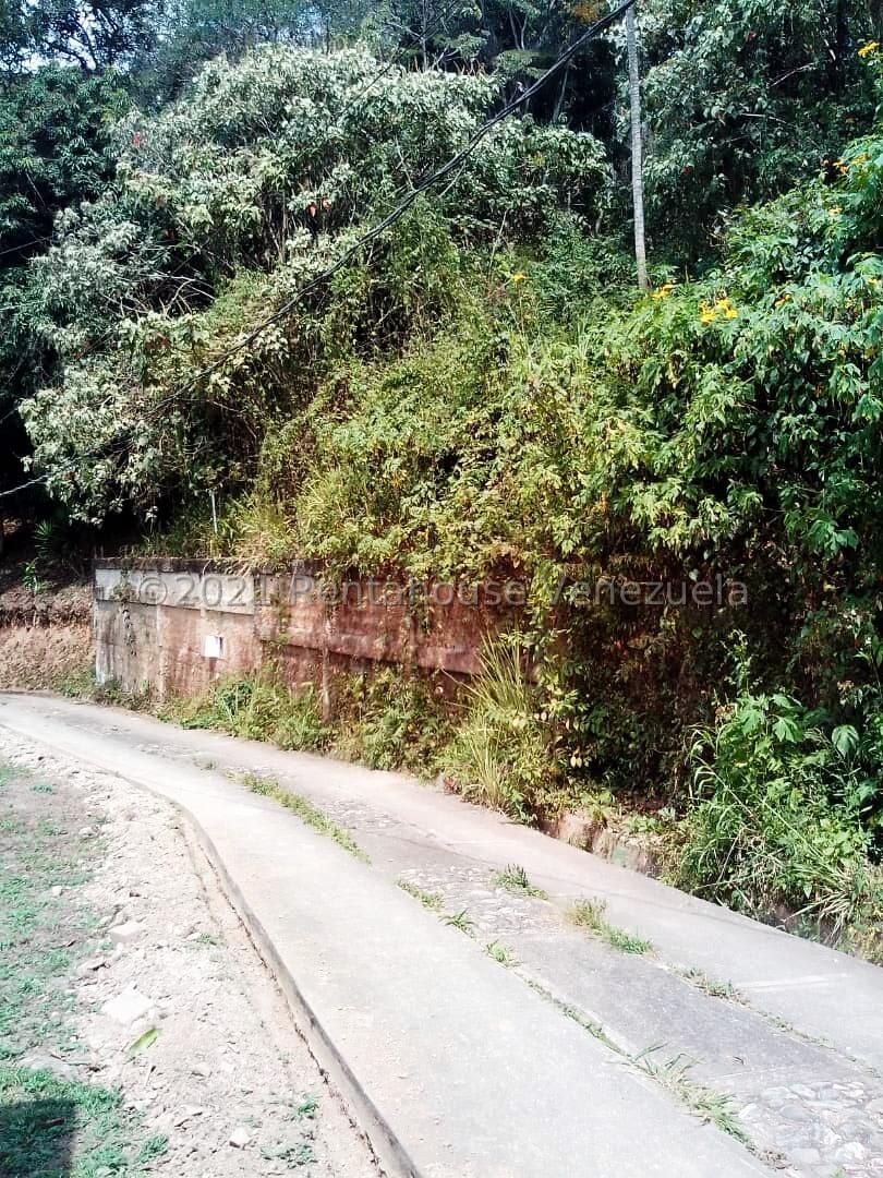 Terreno en venta en Caracas (Sabaneta), foto 5 de 12