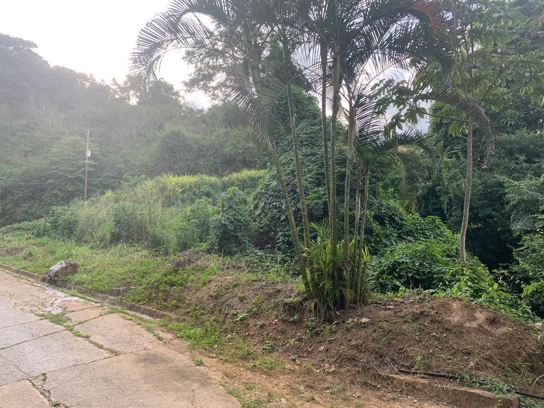 Terreno en venta en Caracas (Caicaguana), foto 3 de 12