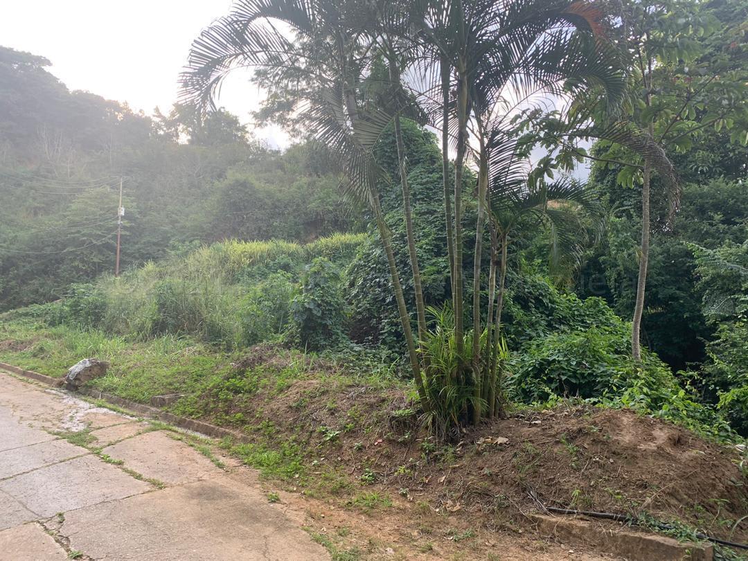 Terreno en venta en Caracas (Caicaguana), foto 3 de 12