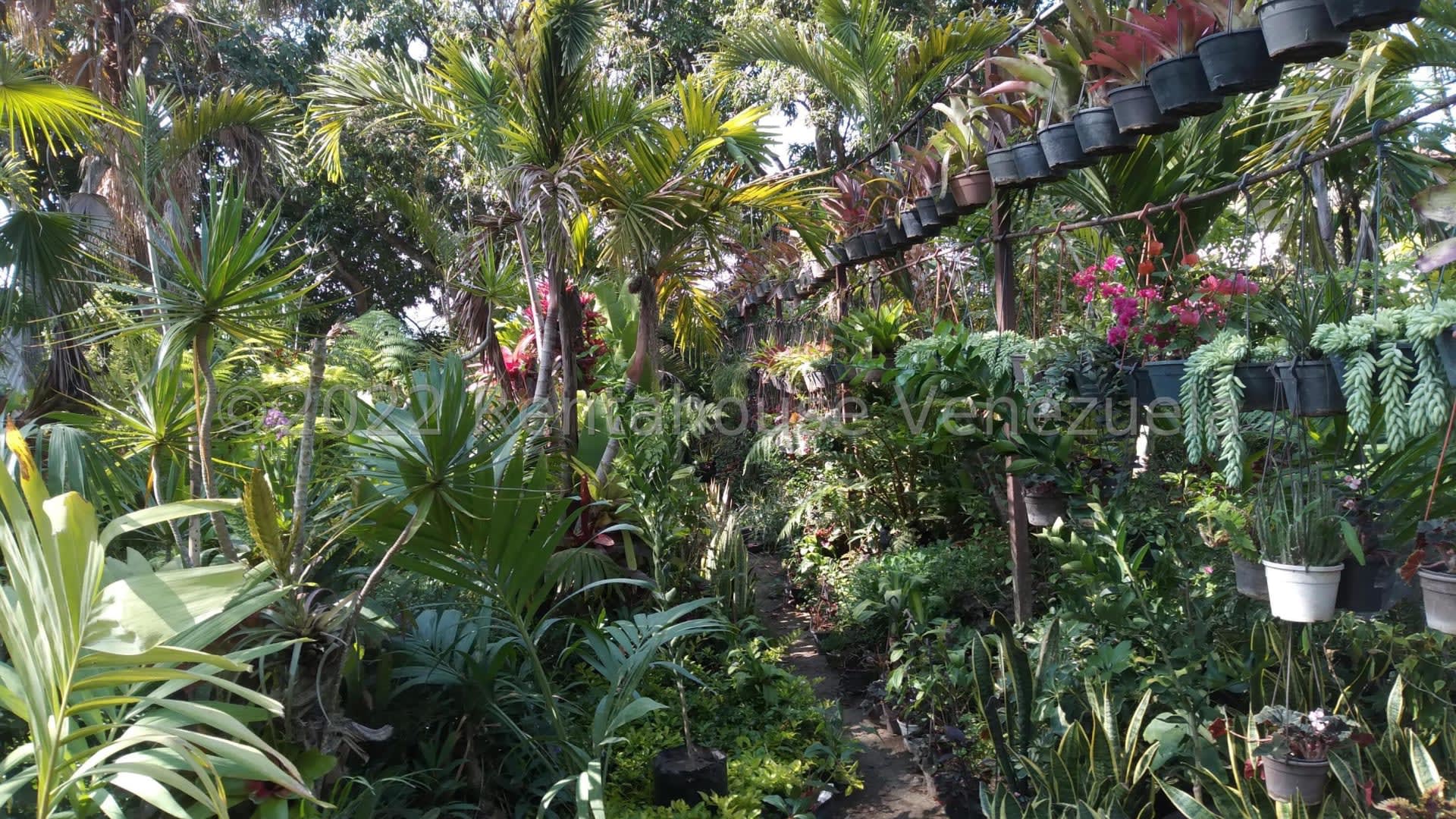 Terreno en venta en Caracas (Los Chorros), foto 3 de 12