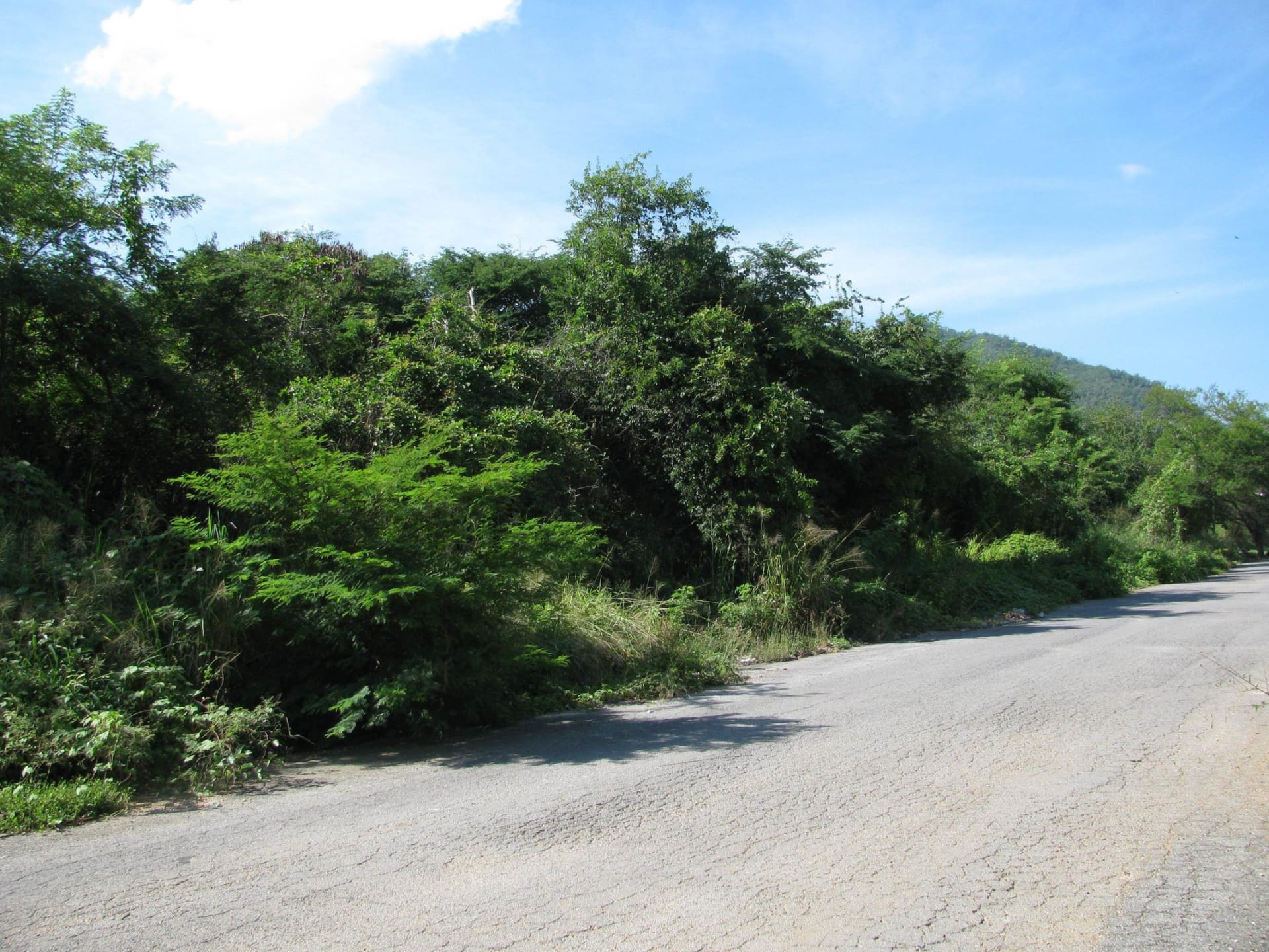 Terreno en venta en Guarenas (Sector Industrial Cloris), foto 4 de 9