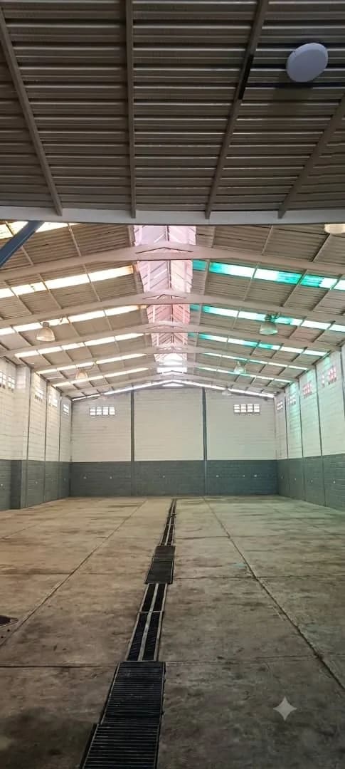 Local comercial en alquiler en Valencia