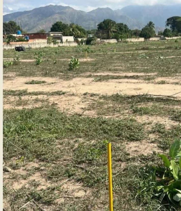 Terreno en venta en Valencia