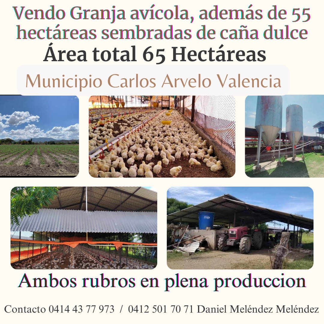 Terreno en venta en Valencia