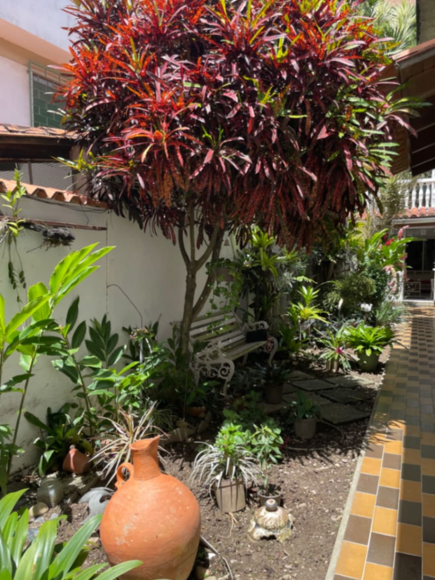 Casa en venta en Caracas