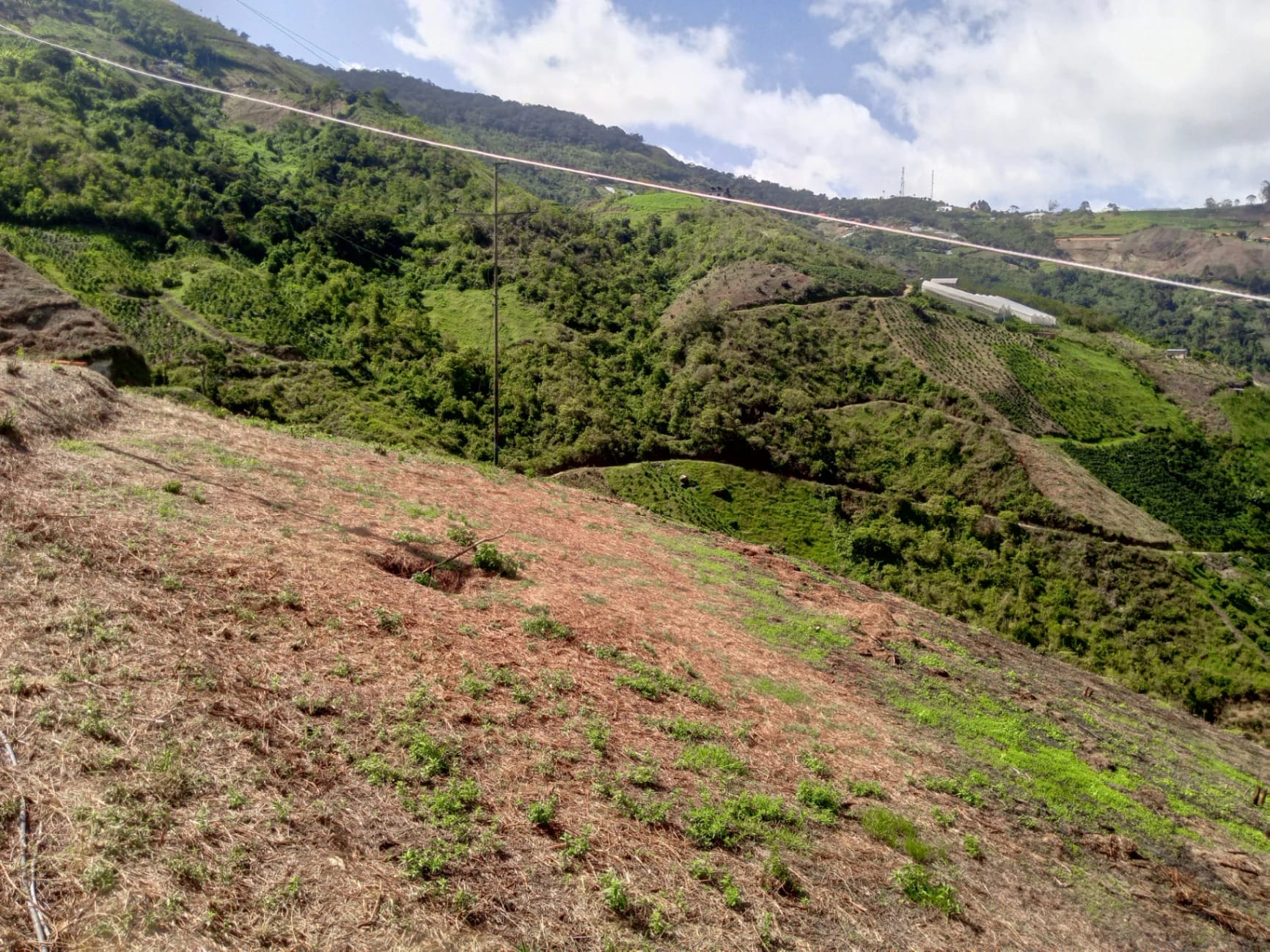 Terreno en venta en Colonia Tovar
