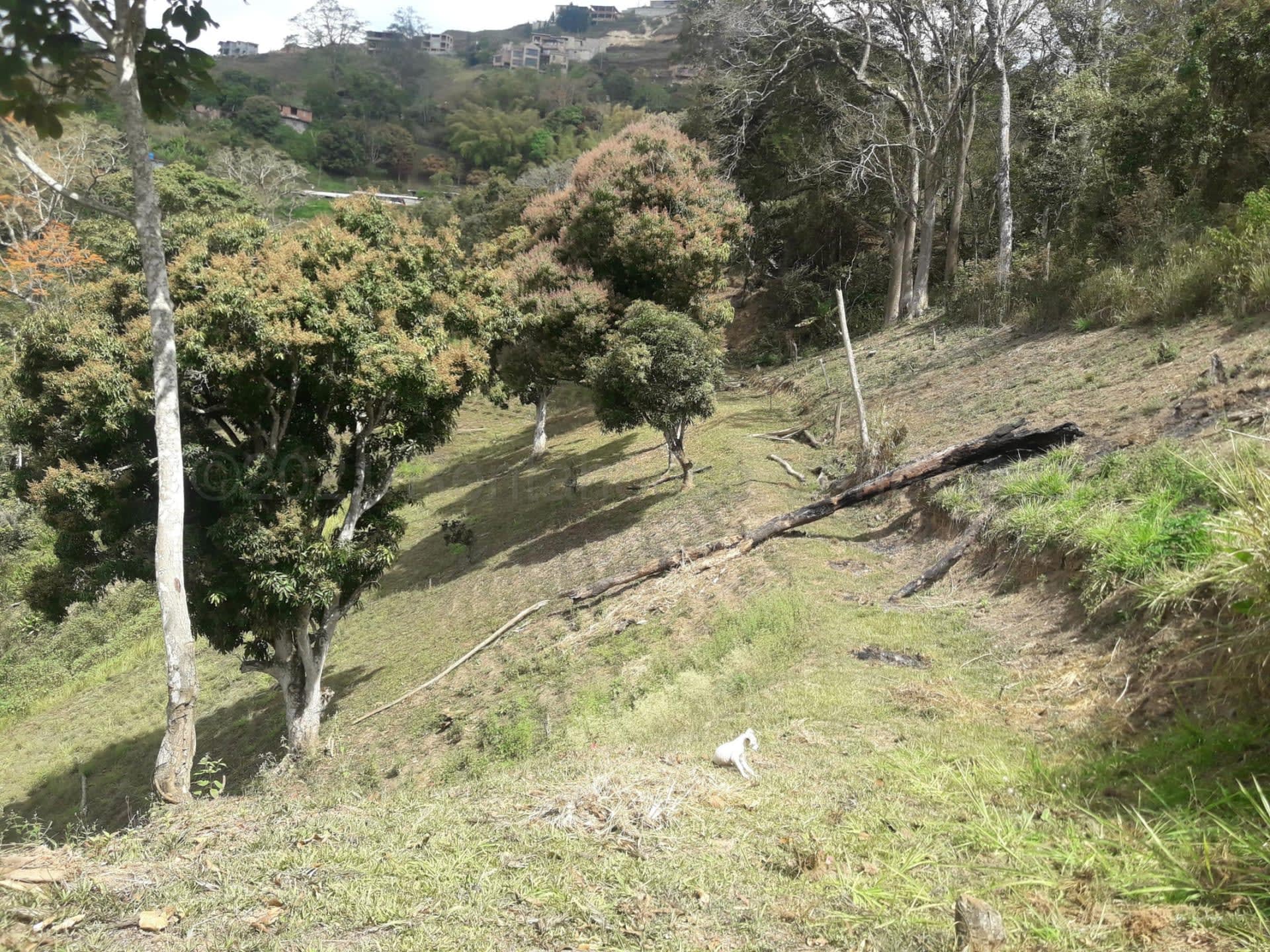 Terreno en venta en Caracas