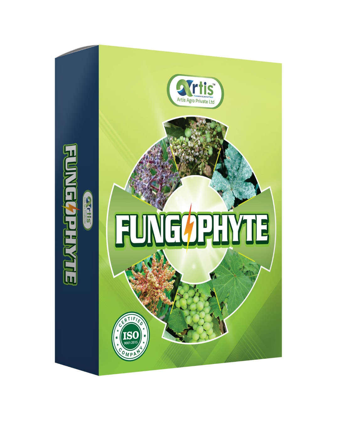 Fungophyte