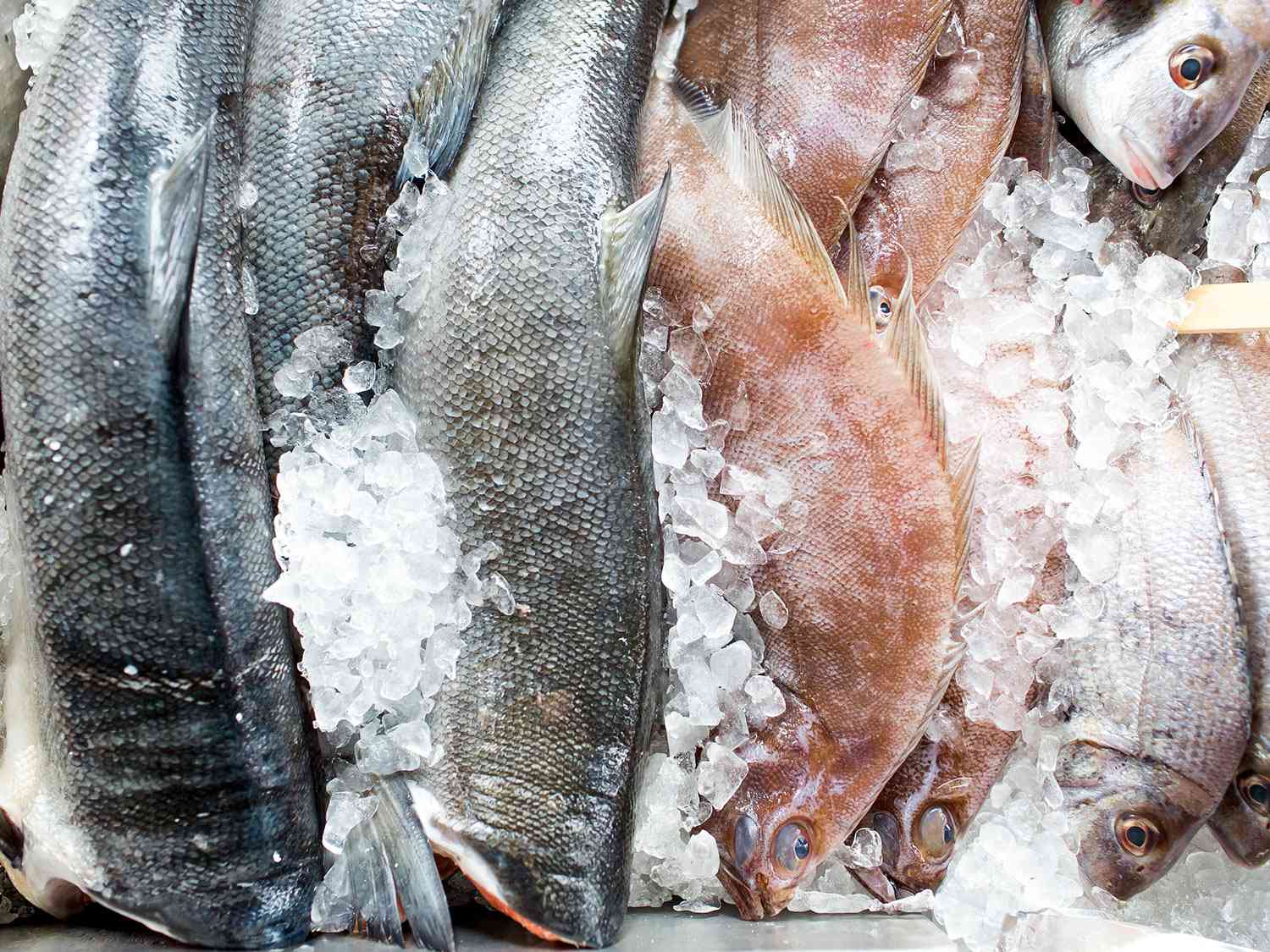 Cold Chain Start