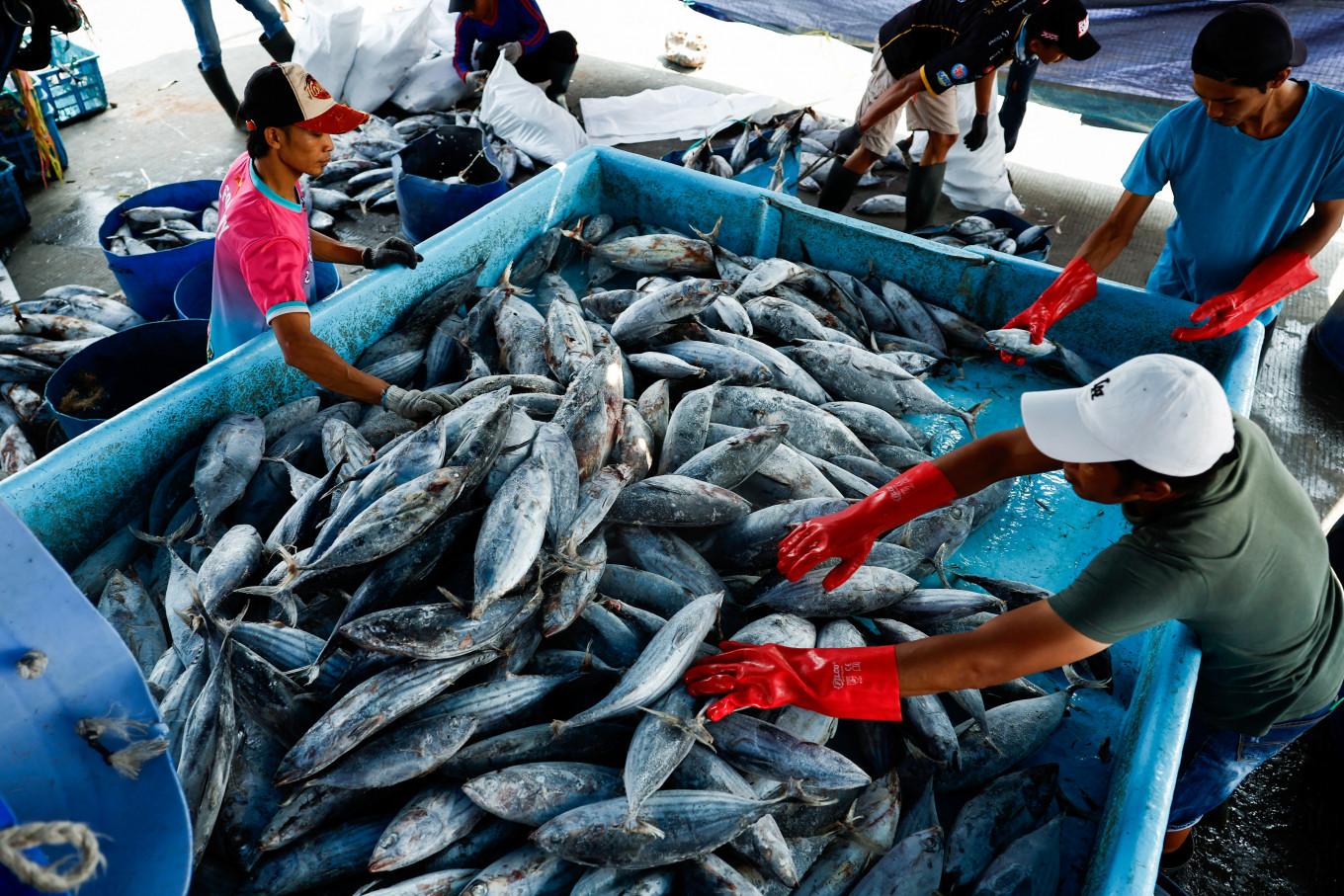 Sustainable Fishing