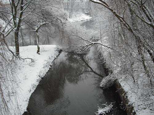 The Whispering Frost