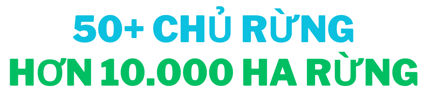 Hơn 50 chủ rừng