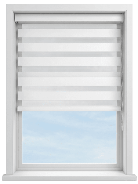 Fitz Frost Light Filtering Zebra Blind