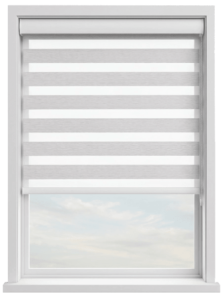 Fitz Silver Light Filtering Zebra Blind