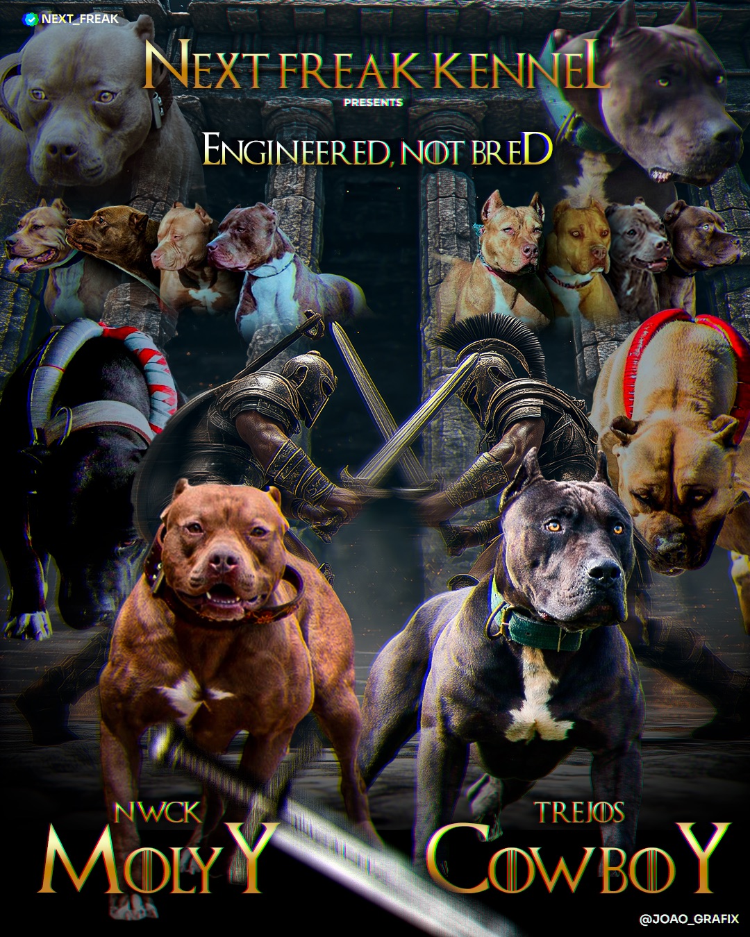 NWCK Molly x Trejo's Cowboy working pit bulldog breeding pairing at Next Freak Kennel