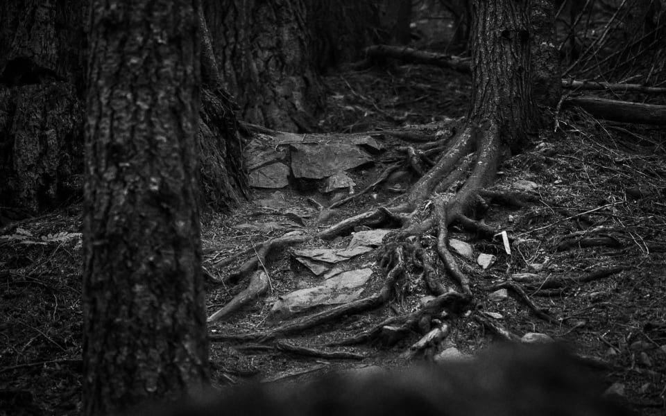 Purgatory · Round Four