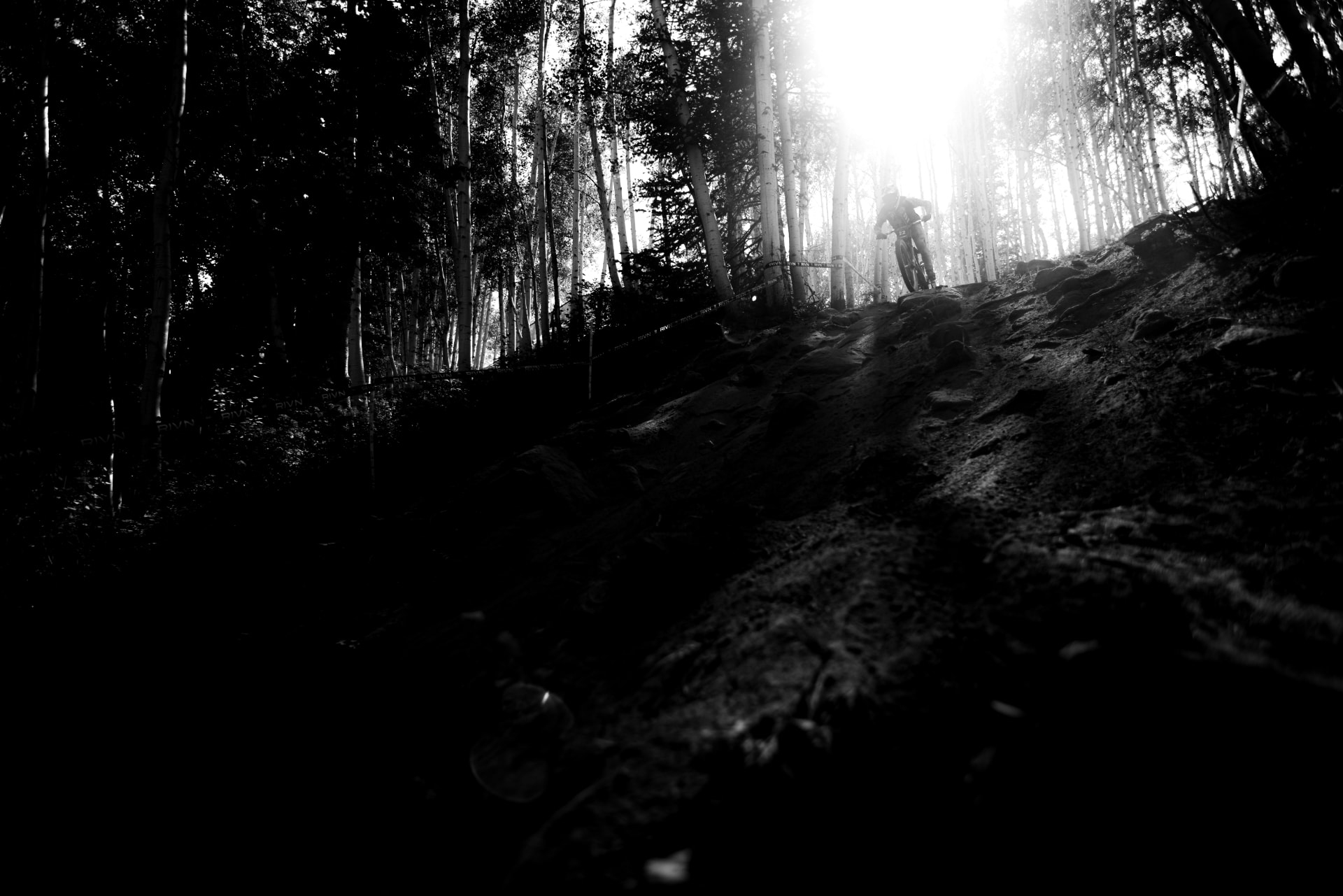 Downhill racing under the aspens