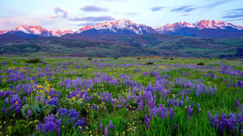 Brilliant Solitaire Diamond thumbnail 5